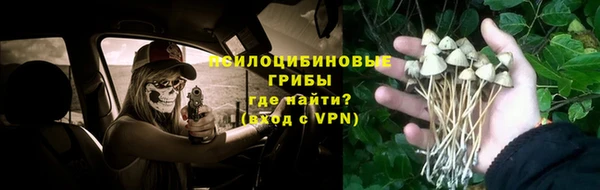 МДМА Медвежьегорск