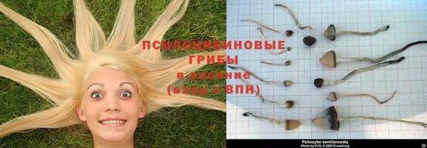 кокс Медногорск